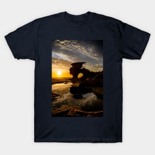 Sierra Nevada Rock, Portsea, Point Nepean. T-Shirt